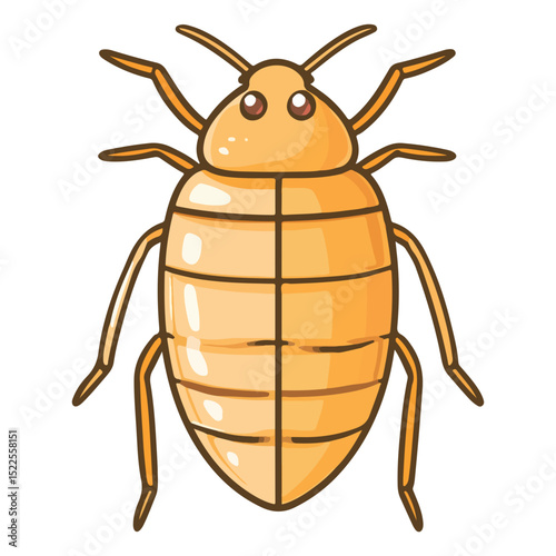flea, insect, animal, vector, transparent background, creature, siphonaptera, isolated, nature, small