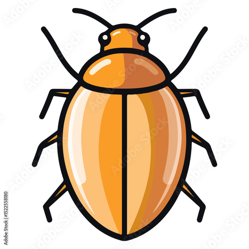 flea, insect, animal, vector, transparent background, creature, siphonaptera, isolated, nature, small