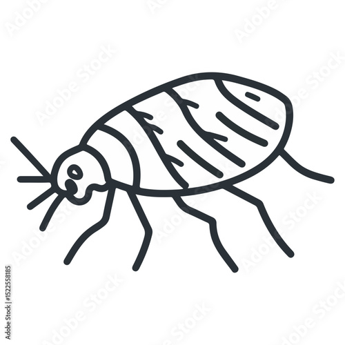 flea, insect, animal, vector, transparent background, creature, siphonaptera, isolated, nature, small