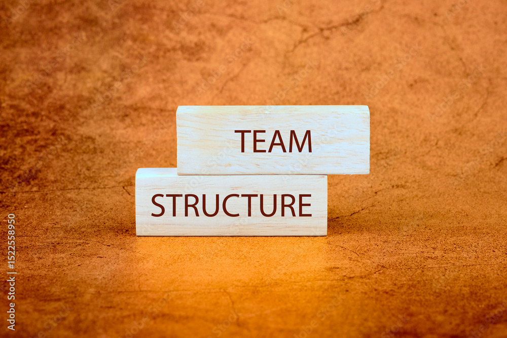 Obraz premium The TEAM STRUCTURE concept phrase. Onboarding business process concept