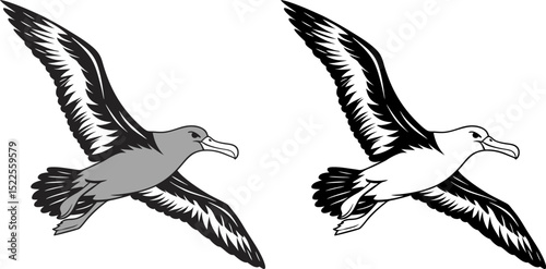 Landing Albatross Silhouette with Outstretched Wings and Feet, Dynamic Pose on Flat Transparent Background