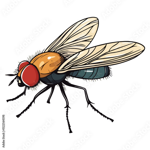 fruit fly, insect, animal, vector, transparent background, biology, drosophila melanogaster, nature, wing, isolated, small