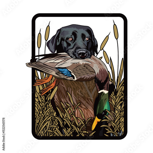 labrador dog bite duck hunting illustration logo vector image t shirt