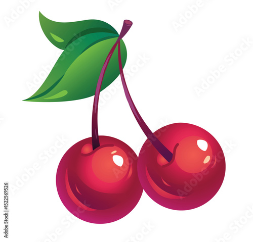 Cherry with green leaves vector isolated