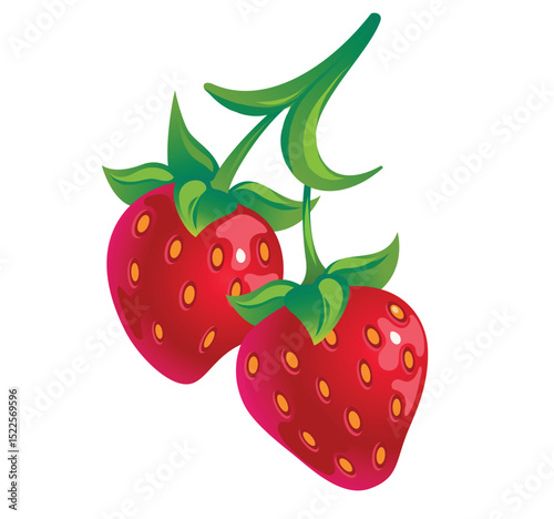 Two Strawberries Isolated on white background 