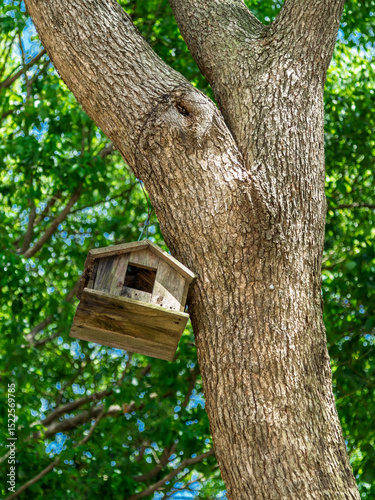 bird house in the forest