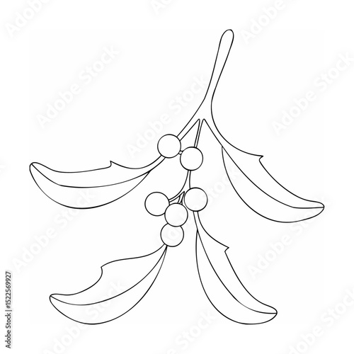 Simple black and white line art illustration of mistletoe with berries for christmas