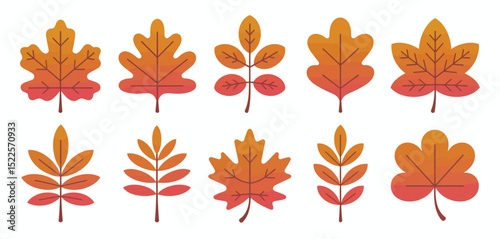 Collection of Autumn Leaves Flat Design Elements