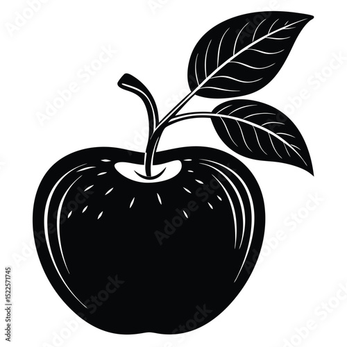 Apple vector illustration black and white fruit design art silhouette