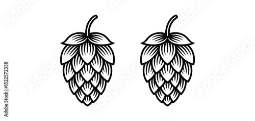 Two Detailed Line Art Illustrations of Hops Cones