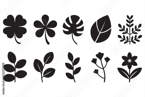 Stylized flower and foliage silhouettes for contemporary floral design and nature graphics
