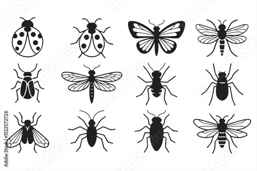  Insect identification chart with labeled icons including butterfly, ladybug, fly, grasshopper, moth, beetle, and praying mantis