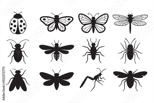 Diverse insect species illustrated in clean black outlines featuring butterflies, ladybugs, dragonflies, ants, moths, and beetles in flat vector style