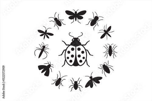 Hand-drawn insect silhouettes set featuring ladybugs, flies, bees, ants, dragonflies, and butterflies in black on white background