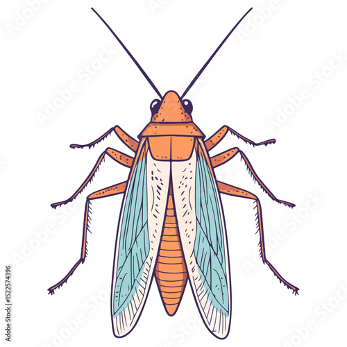 locust, insect, animal, vector, transparent background, creature, grasshopper, isolated, pest, wild, nature, predator, wildlife