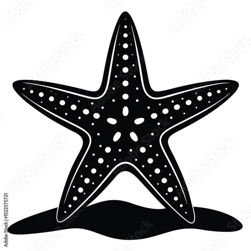 Starfish black and white ocean sea life marine illustration silhouette