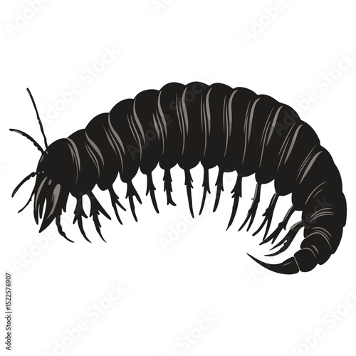 millipede, insect, animal, vector, transparent background, organism, diplopoda, nature, isolated, crawling, wildlife, small, creature