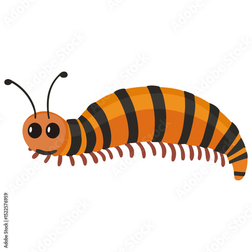 millipede, insect, animal, vector, transparent background, organism, diplopoda, nature, isolated, crawling, wildlife, small, creature