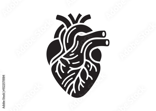 Anatomical Heart Silhouette Black Vector White Background