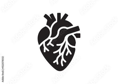 Anatomical Heart Silhouette Black Vector White Background
