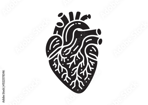 Anatomical Heart Silhouette Black Vector White Background