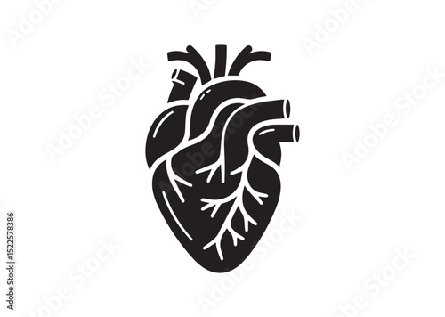Anatomical Heart Silhouette Black Vector White Background