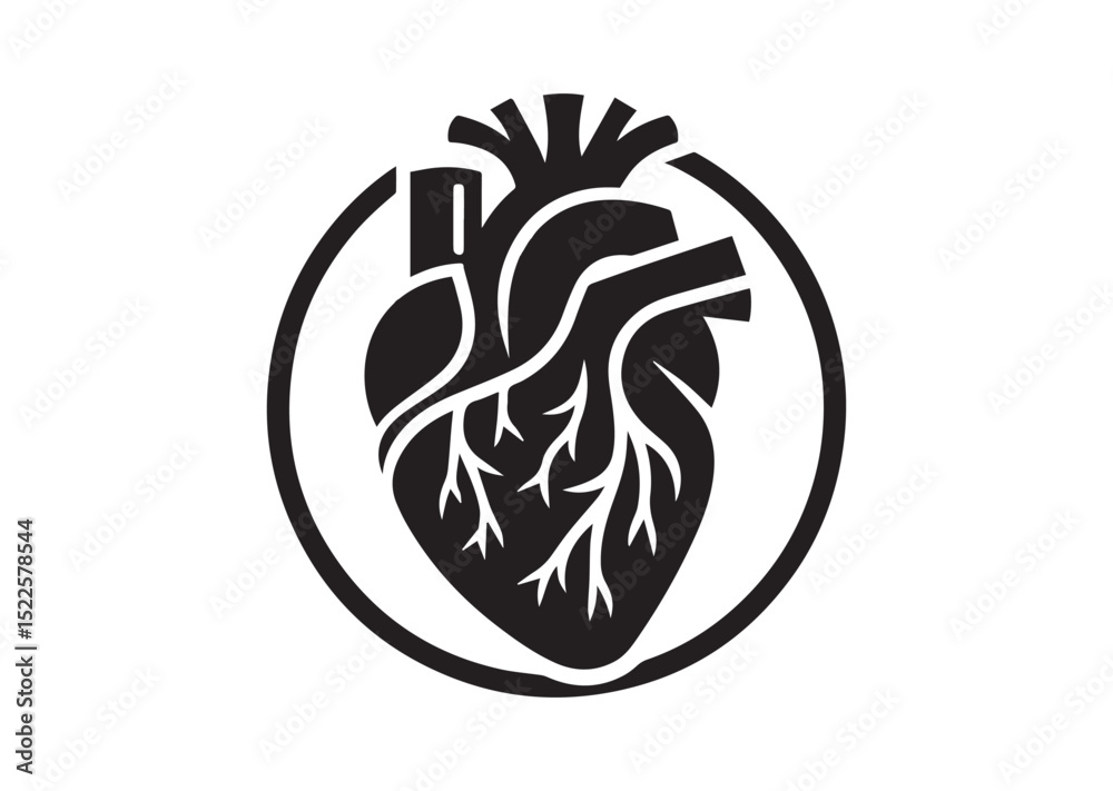 Fototapeta premium Anatomical Heart Silhouette Black Vector White Background