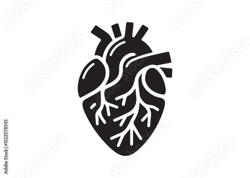 Anatomical Heart Silhouette Black Vector White Background