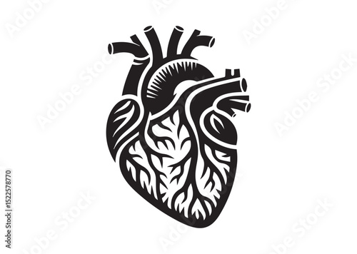 Anatomical Heart Silhouette Black Vector White Background