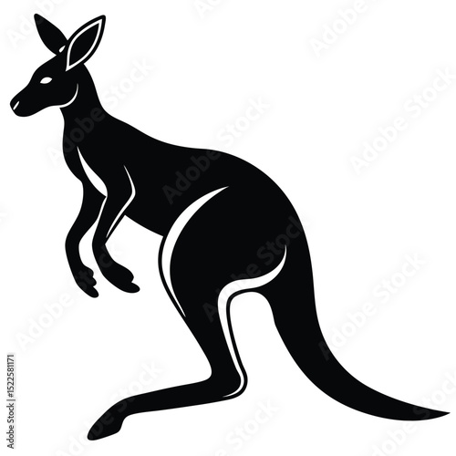 Kangaroo vector illustration black and white animal design silhouette