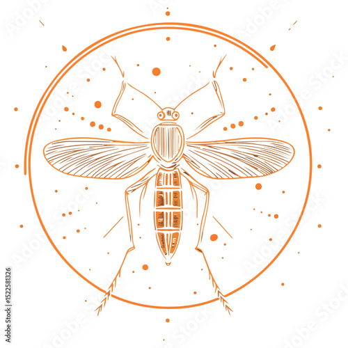 mosquito, insect, animal, vector, transparent background, creature, culicidae, nature, isolated, natural, wings, small, wildlife, malaria, pest