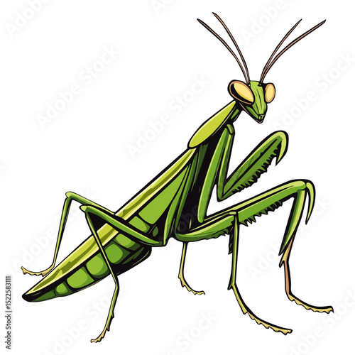 praying mantis, insect, animal, vector, transparent background, creature, mantodea, nature, mantis, isolated, predator, invertebrate, wildlife, mantis religiosa, mantid