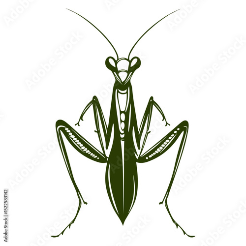 praying mantis, insect, animal, vector, transparent background, creature, mantodea, nature, mantis, isolated, predator, invertebrate, wildlife, mantis religiosa, mantid