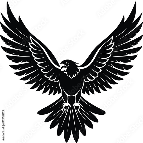 Eagle vector bird flying black and white wings spread art silhouette