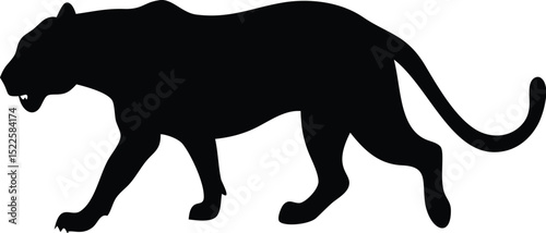 Shadowy black panther prowls with silent grace embodying power and mystery against a plain white