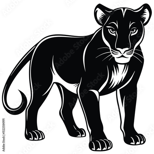 Black panther illustration vector graphic design animal art silhouette
