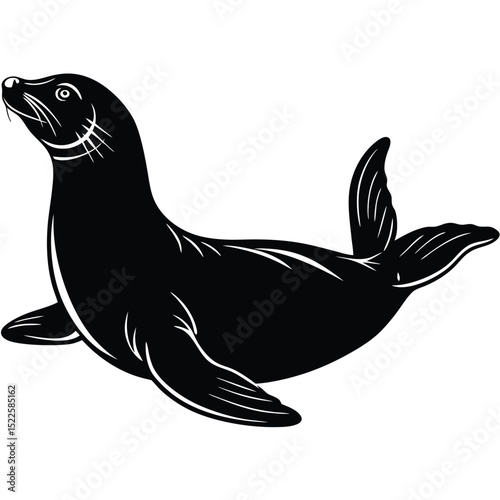 Sea lion vector illustration black and white animal marine silhouette