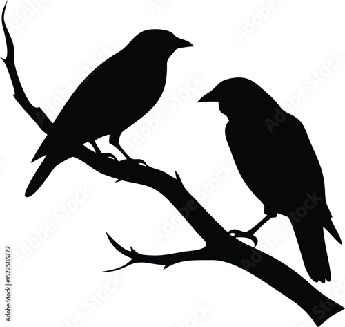 Crow silhouette of two perched crows on a branch, great for Halloween, mystery, and nature-inspired dark vector art