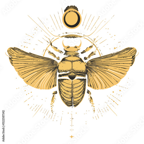 scarab, insect, animal, vector, transparent background, creature, scarabaeidae, nature, isolated, invertebrate, wildlife, coleoptera, arthropod, fauna, chafer
