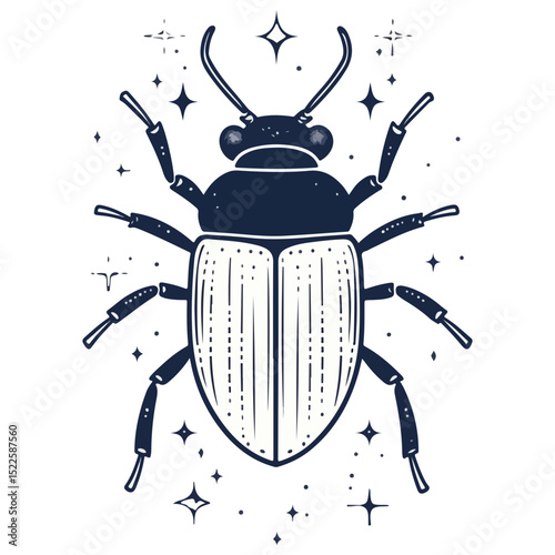 scarab, insect, animal, vector, transparent background, creature, scarabaeidae, nature, isolated, invertebrate, wildlife, coleoptera, arthropod, fauna, chafer