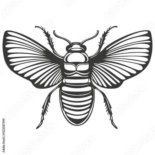 scarab, insect, animal, vector, transparent background, creature, scarabaeidae, nature, isolated, invertebrate, wildlife, coleoptera, arthropod, fauna, chafer
