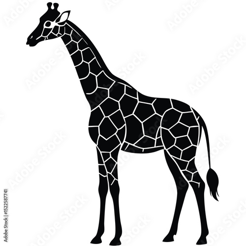 Giraffe illustration vector black and white animal africa silhouette