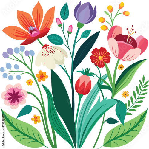 Vector illustration of flowers, orchid, tulip, wild flowers, plants and leaves