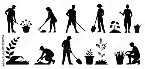 Silhouette gardeners working in the garden