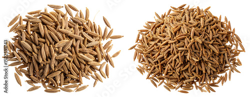 Natural Cumin Seed Pile Isolated Transparent Background