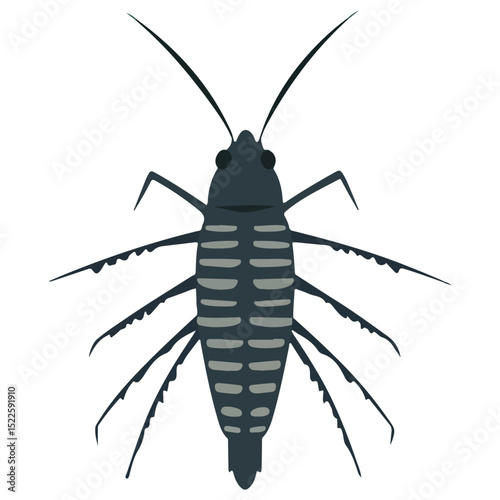 silverfish, insect, animal, vector, transparent background, organism, lepisma saccharina, isolated, nature, pest, wildlife, small