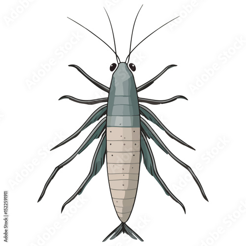 silverfish, insect, animal, vector, transparent background, organism, lepisma saccharina, isolated, nature, pest, wildlife, small