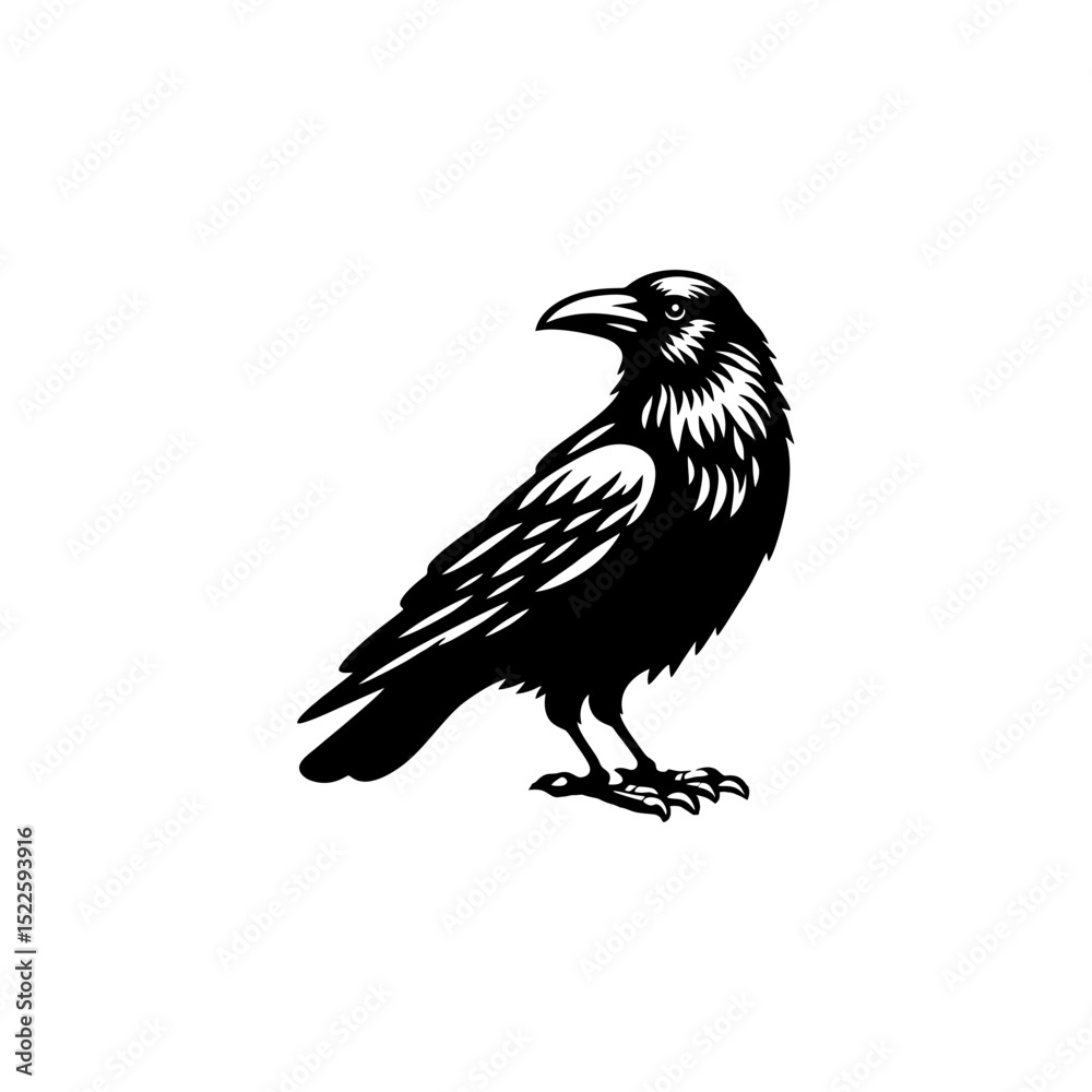 Fototapeta premium simple silhouette crow raven bird
