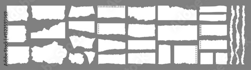 Torn paper edges on transparent background. Torn sheets of paper. Torn paper strips set. Sticky notes, shreds of notebook pages. Vector illustration