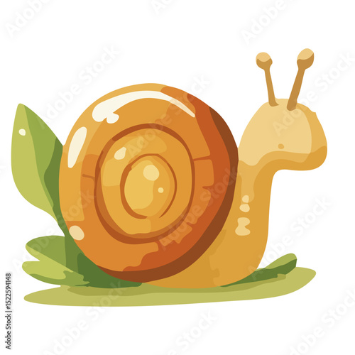 snail, insect, animal, vector, transparent background, creature, wildlife, nature, cute, isolated, zoo, slimy, shell, slow, escargot, invertebrate, icon, pattern, mollusk, small